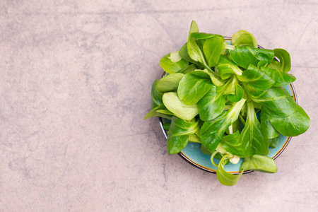 Fresh Lambs lettuce, empty copy space for text, green salad, vegan food, ingredients
