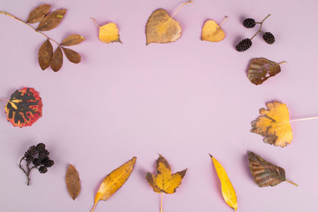 Autumn leaves on a  textured background, empty copy space, flat lay, top view, colours of the fall