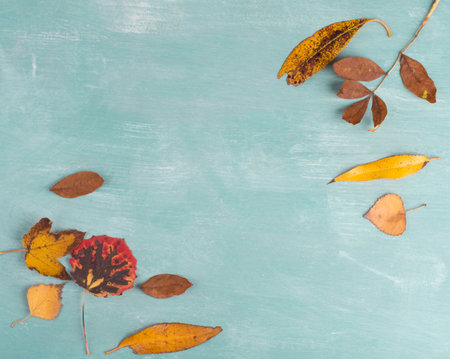 Autumn leaves on a  textured background, empty copy space, flat lay, top view, colours of the fallの写真素材