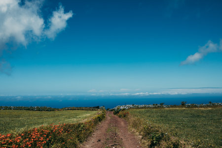 A view of a road leading to the blue sea on a clear sunny day, Portuguese Azores