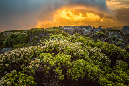 A scenic sunrise on Mount Wellington, Kunanyi, Hobart, Tasmania, Australiaの写真素材
