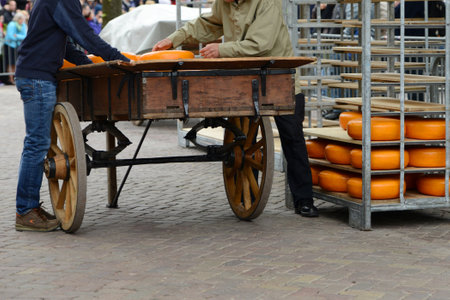 Traditional cheese market in Alkmaar in Hollandの写真素材