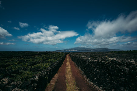 A long exposure view of the cloudy sky over a road passing through scenic