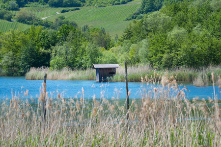 A scenic view of a small wooden hut near the river surrounded by natureの写真素材