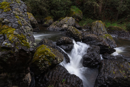 A long exposure closeup of water flowing over rocks in a forest