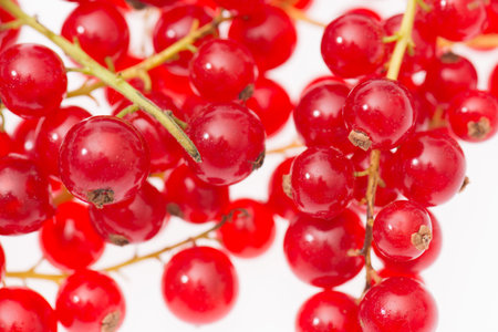 Red currants isolated on a white background, fresh fruitsの写真素材