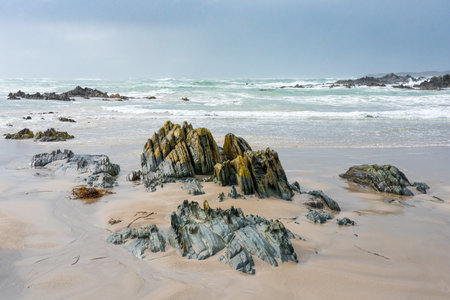 A beautiful view of a coastline and woodstones on the sandの写真素材