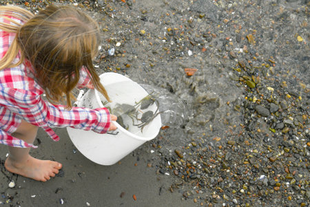 A young girl pouring water from a bucket full of crabsの写真素材