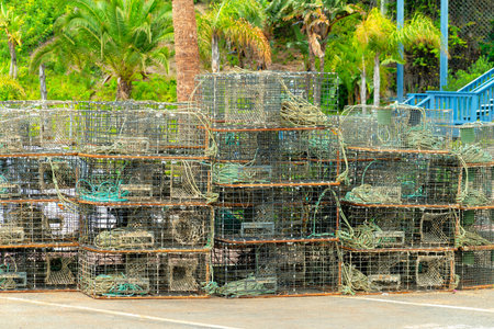 A closeup shot of crab traps