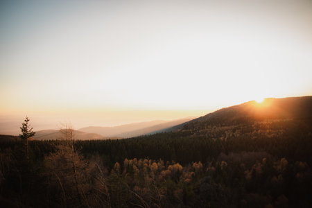 A scenic view of an autumnal forest and a vast landscape against a beautiful bright sunsetの写真素材
