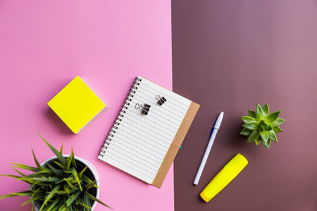 A top view shot of a notebook, sticky paper, pen, and two plants on a pink and brown backgroundの写真素材