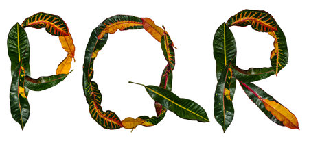 English Alphabet designed out of colorful croton leaves isolated on a white background