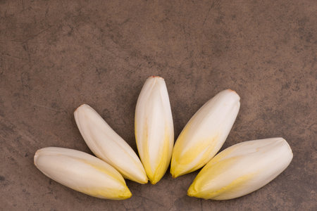 Fresh chicory on a textured background, empty copy space for text
