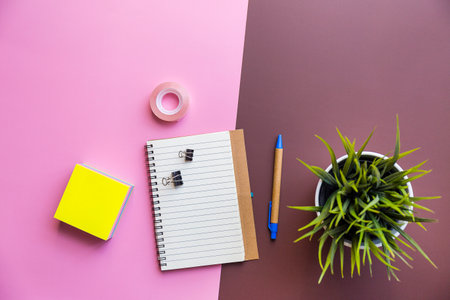 A top view shot of a notebook, sticky paper,tape, pen, and a plant on a pink and brown backgroundの写真素材