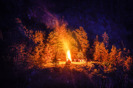 Many people standing and looking at the night campfire in the forestの写真素材