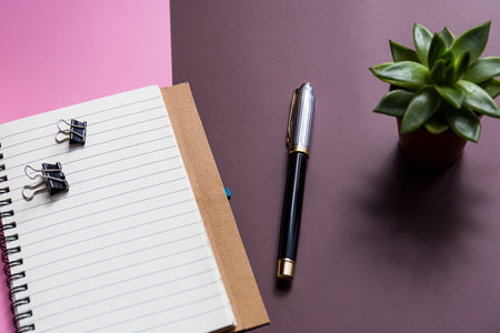 A top view shot of a notebook, pen, and a plant on a pink and brown background