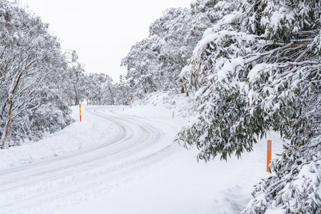 A mountain road and trees covered with white clear snowの写真素材