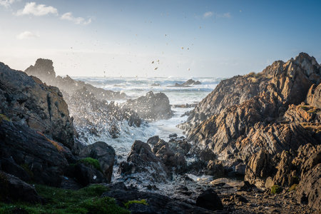 The Tarkine coastline in Tasmania, Australia with splashing waves against the rocky shore