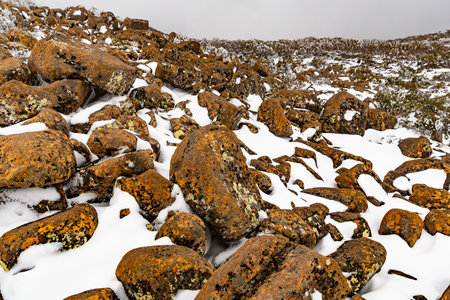 A closeup of boulder fields covered in the snow on Mount Wellington in Tasmania, Australiaの写真素材
