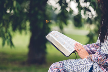 A closeup of a girl reading a book in a parkの写真素材
