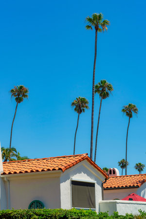 A scenic view of a modern designed house against tall palm trees and clear blue skyの写真素材