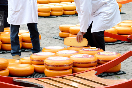 Traditional cheese market in Alkmaar in Hollandの写真素材