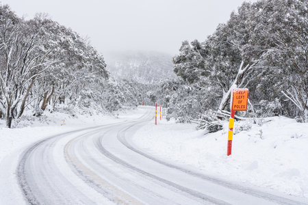A mountain road and trees covered with white clear snowの写真素材
