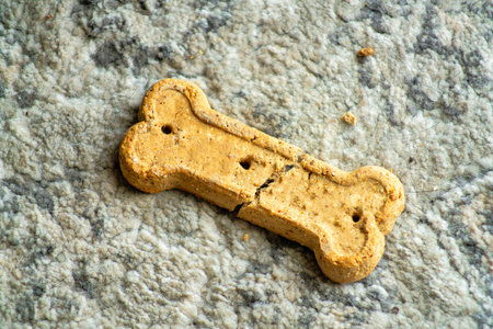 A closeup shot of a dog biscuitの写真素材