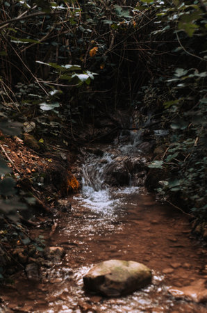 A vertical shot of a river surrounded by rocks in a forest
