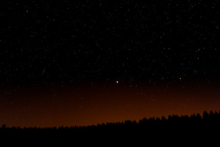 A starry sky with a silhouette of fir tree forestの写真素材