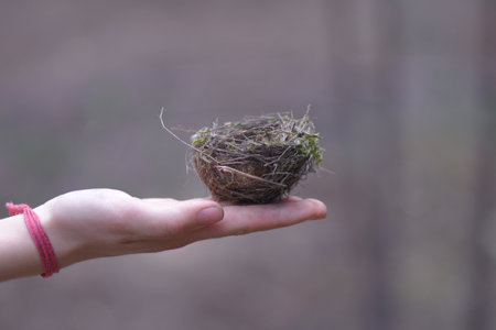 A closeup shot of a female's hand holding a bird's nestの写真素材