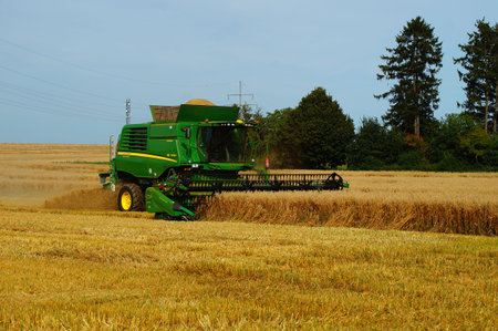 In mid-August, the oats are harvested from the fields around Frankfurt.