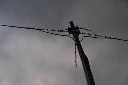 A low angle of an old wooden electric post and powerlines under a gloomy skyの写真素材