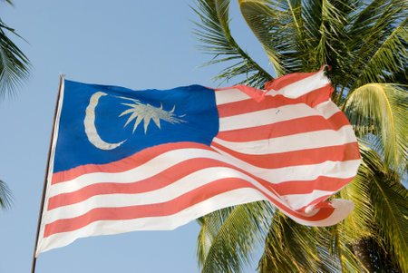 Flag of Malaysia under palm trees waving in wind