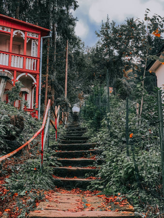 A vertical shot of stairs to the woods in autumn in Sovata, Romaniaの写真素材