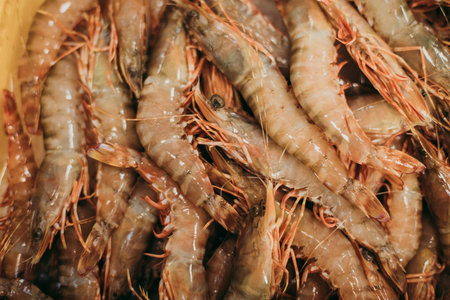 A closeup shot of a pile of Caramote prawnsの写真素材