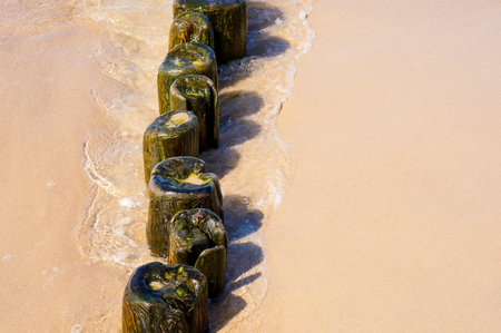 A top view of a wooden breakwater on the coast of a sea with soft sandの写真素材