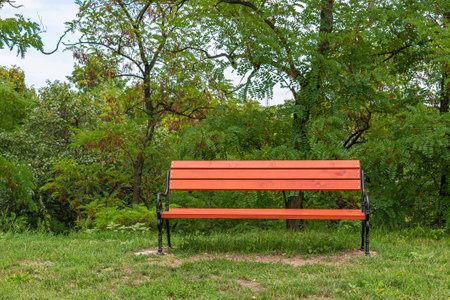 A brown wooden bench in the green parkの写真素材