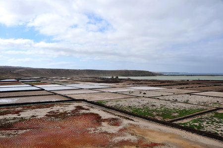 Salt fields of Salinas Janubio on coast of spanish canary volcanic\nLanzarote island, Spainの写真素材