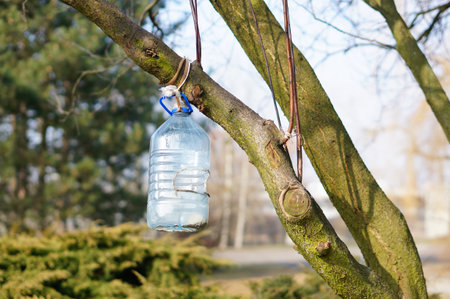 A cut plastic bottle with food hanging on the tree branch for feeding birdsの写真素材