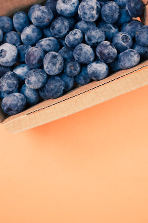 A top view of delicious blueberries in a paper box isolated on an orange backgroundの写真素材
