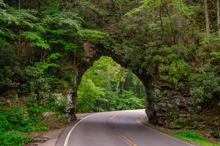 A Backbone rock tunnel in Tennessee, the USAの写真素材