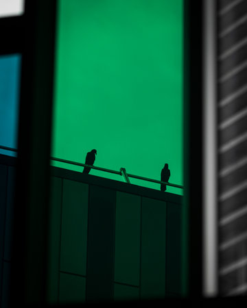 A vertical shot of a reflection of two birds perched on a metal surfaceの写真素材