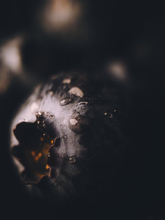 A vertical shot of blueberry on a dark backgroundの写真素材