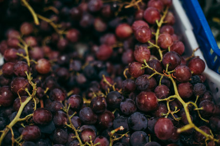 A closeup shot of a pile of grapesの写真素材