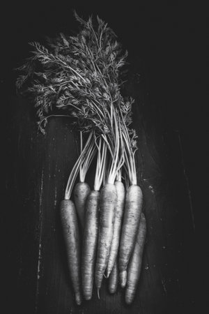 A top view of grayscale of fresh carrots on the wooden surfaceの写真素材