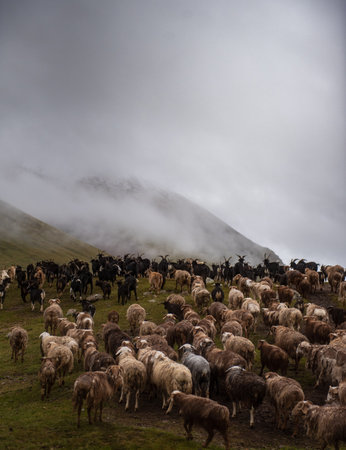 This is how true Mongolian life looks like. Summer is the most amazing season for nomads, even...