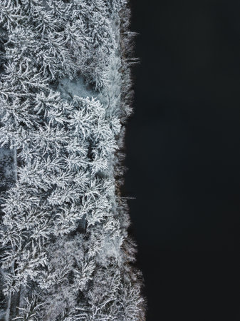 A contrast between black water and white trees.