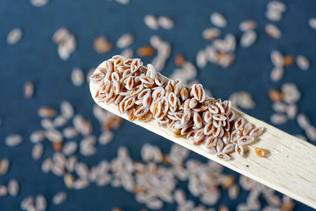 A shallow focus of a psyllium husk on a wooden stickの写真素材