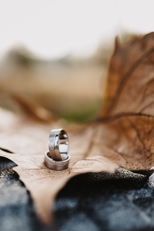 A vertical shot of wedding rings on an autumnal leaf, outdoorsの写真素材